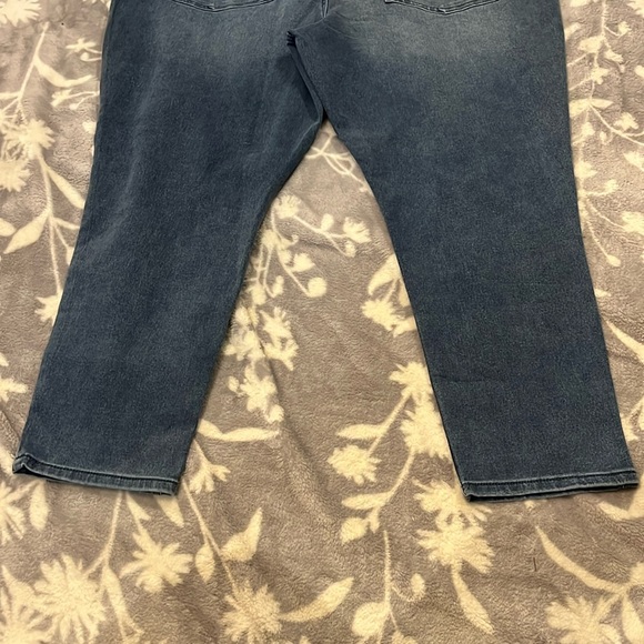 NWT DG2 Diane Gilman Skinny Jeans- Blue distressed Zip Up Stretch SZ 22WP - Picture 8 of 10